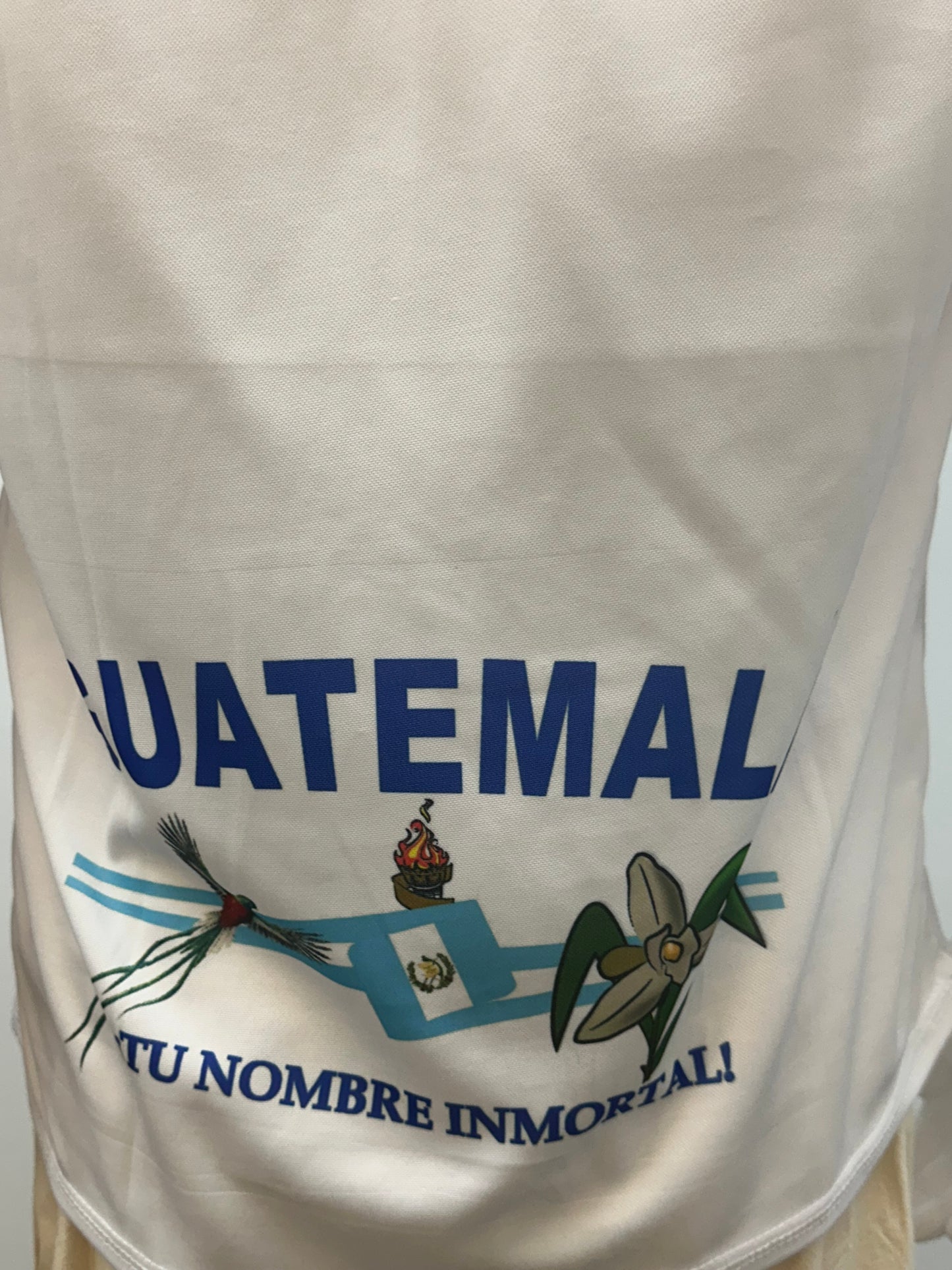 Guatemala Jersey with National Symbols